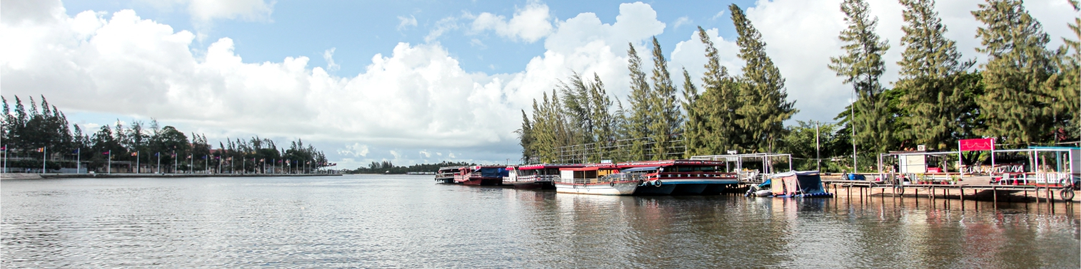 banner for publications (1)