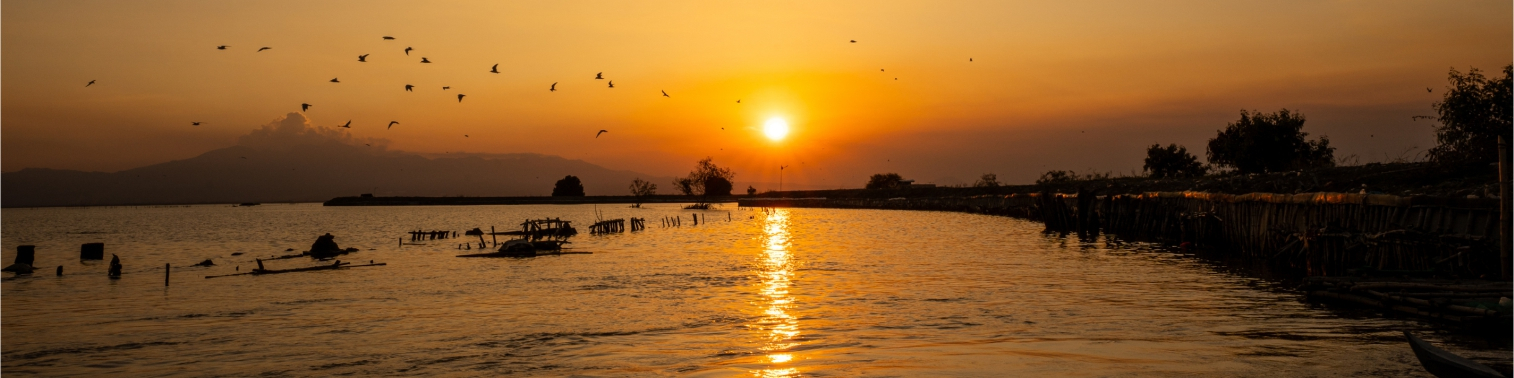 banner for river basins