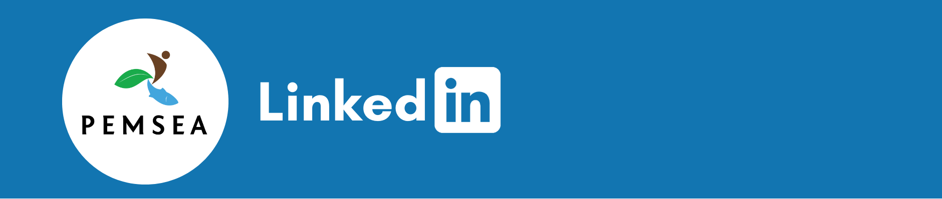 IRBM Linkedin